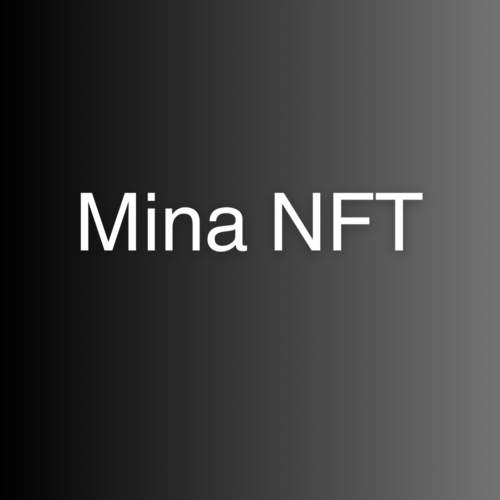 zkApp - NFT - Berkeley Testnet